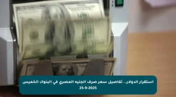 استقرار الدولار.. تفاصيل سعر صرف الجنيه المصري في البنوك الخميس 25-9-2025